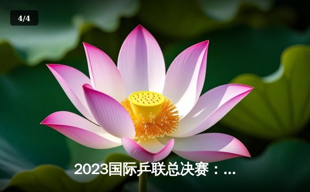 2023国际乒联总决赛：樊振东4-3逆转张本智和 夺赛季第四冠 - 4